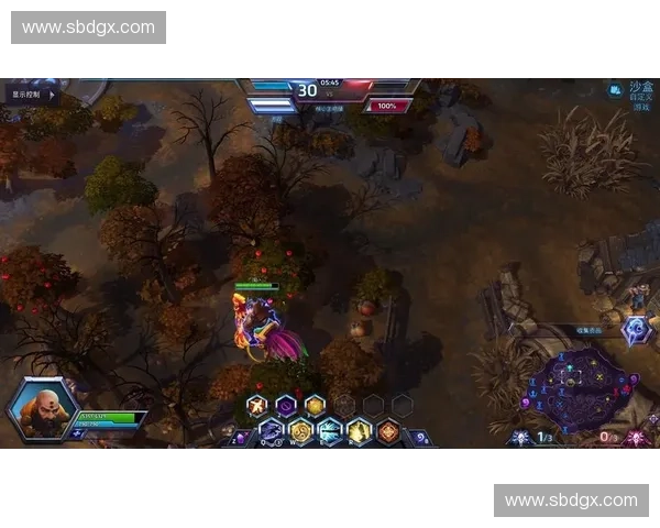 围绕风暴英雄无法正常显示问题的综合成因与多维解决思路分析与探讨